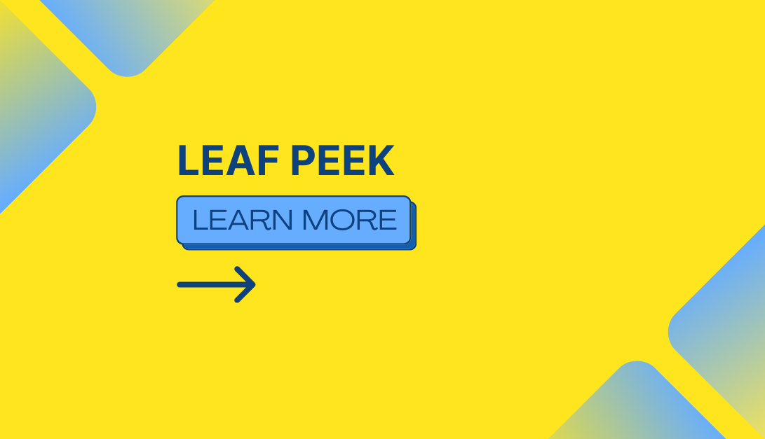 Thumbnail for Leaf Peek